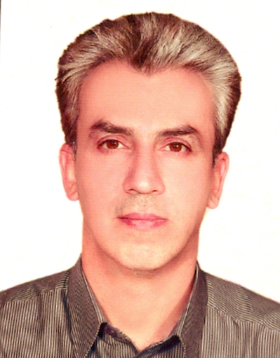 Seyed Reza Fatemi Tabatabaei